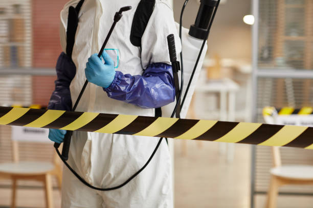 Professional Biohazard technician working in Mount Dora, FL